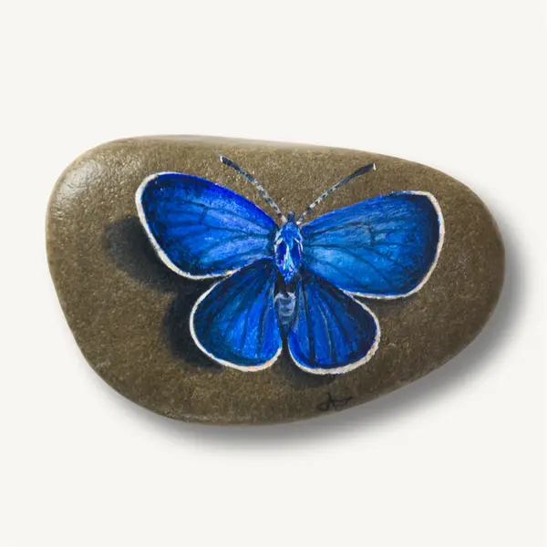 Blauer Schmetterling