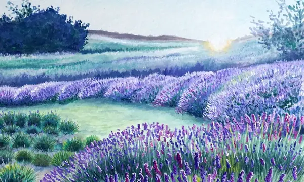 Lavendel Gouache