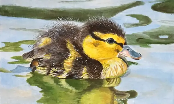 Ente Gouache