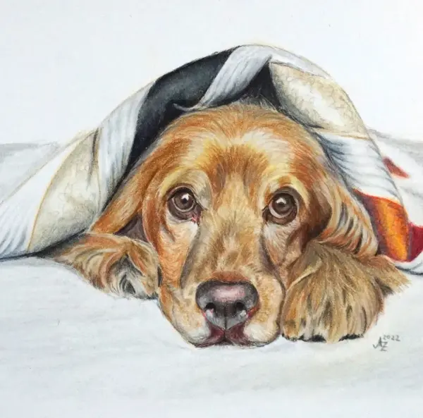 Hund Polychromos
