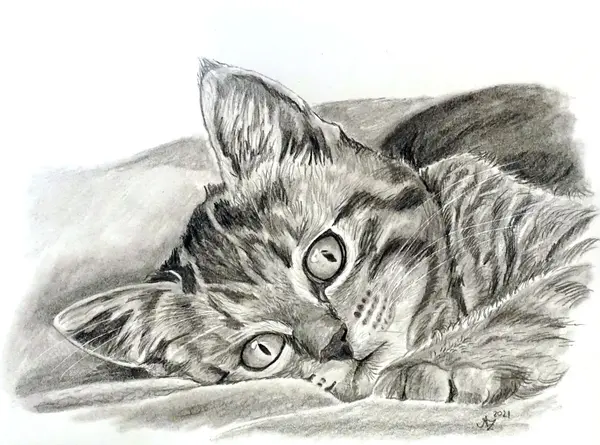 Katze Bleistift