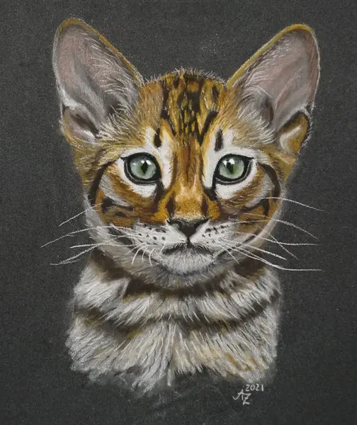 Katze Pastellkreide